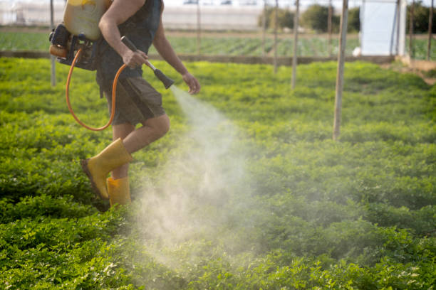 Best Pest Removal Services  in Perryopolis, PA