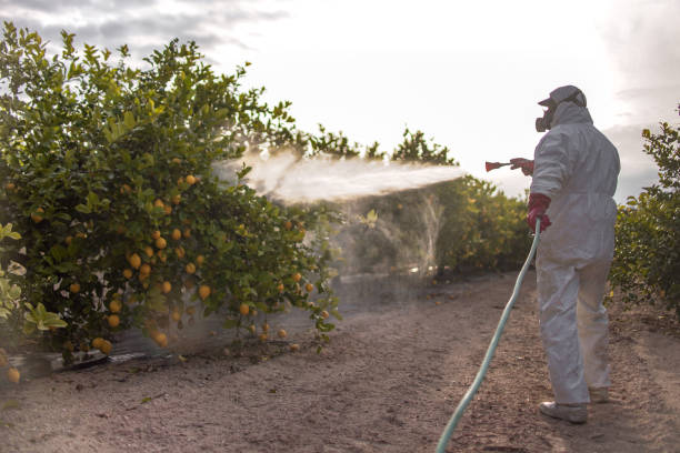 Best Wasp Removal Services  in Perryopolis, PA